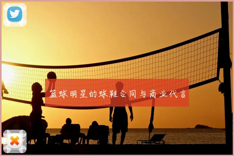 篮球明星的球鞋合同与商业代言